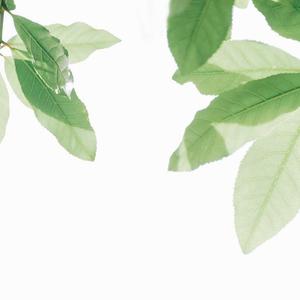 人獸雜交亂伦ⅩⅩXxX视频
